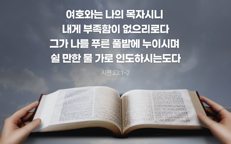 제목을-입력해주세요_-001.png